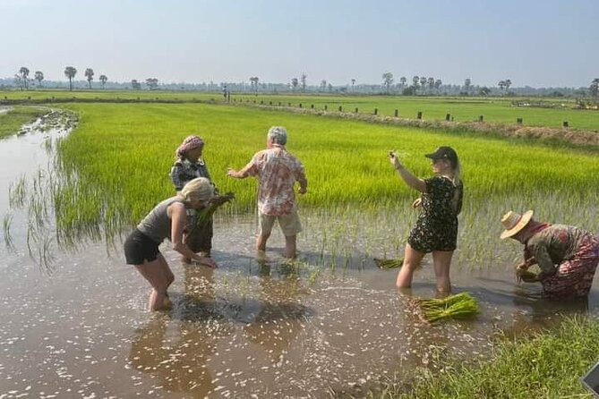 Angkor Wat Jeep Tour and Professional English Speaking Guide - Tour Highlights