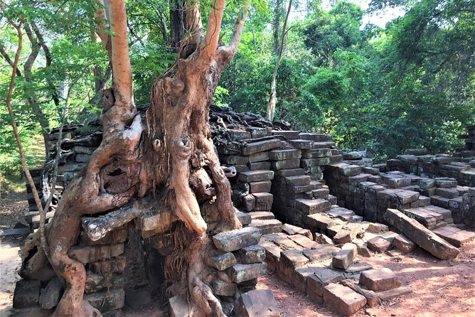 Angkor Wat Sunrise Half Day by Join-in Tour - Dress Code and Requirements