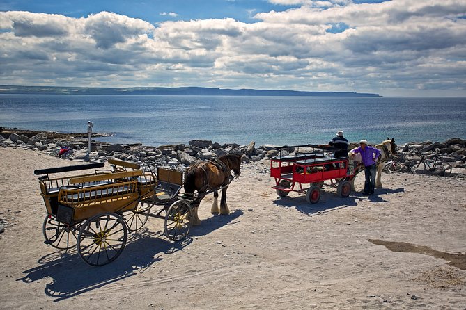 Aran Islands Pub Tour From Galway. Inisheer/Inishmore. Guided. - The Sum Up