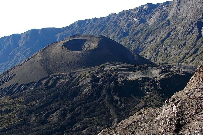 Arusha National Park Guided Tour From Arusha - Booking and Pricing