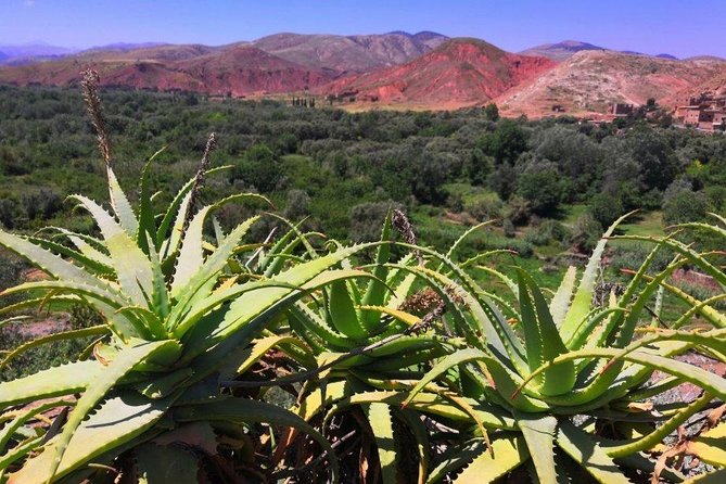 Atlas Mountains Horseback Ride & 3 Valleys Tour Day Trip From Marrakech - Flexible Booking Options