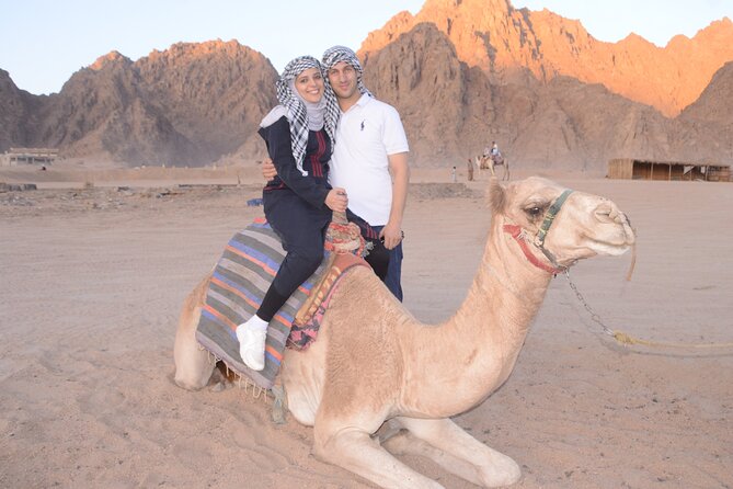 ATV Quad Bike Safari and 2 Hours Horse Riding With Transfer in Hurghada - Booking Information