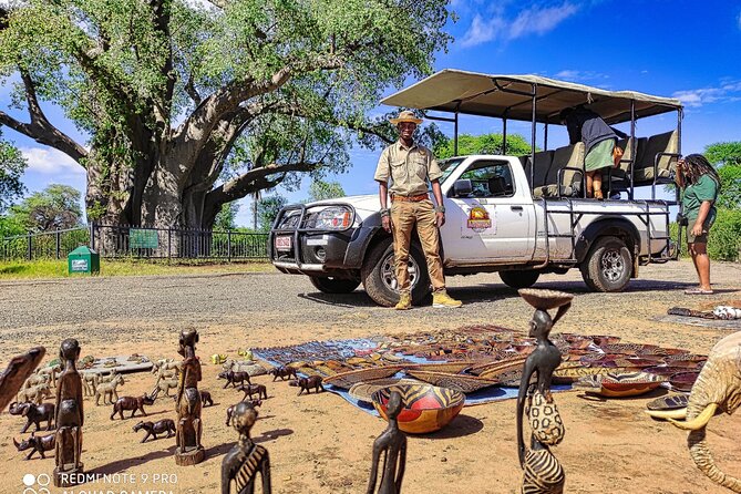 Baobab Safari in National Park, Victoria Falls