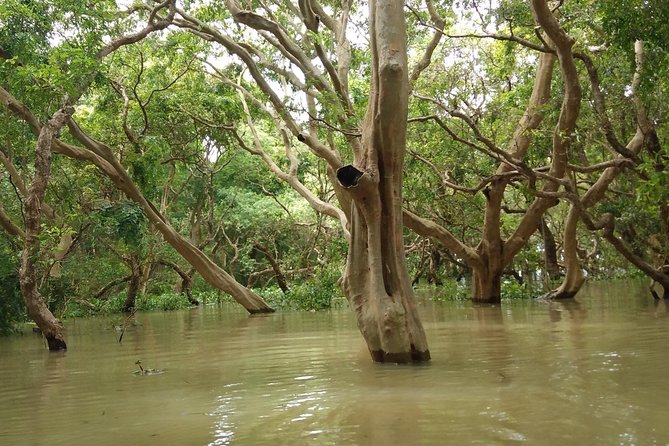 Beng Mealea & Floating Village Private Tour - The Sum Up
