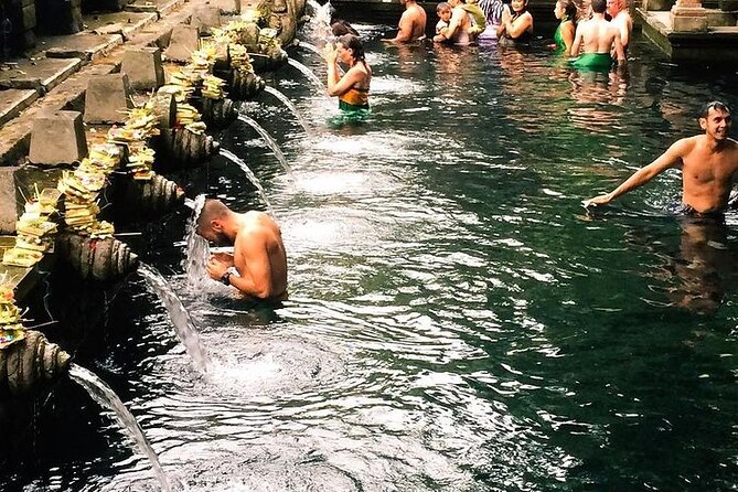 Best Of Bali Waterfall and Temple Tour - Booking Details