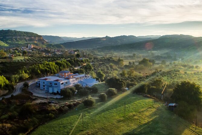 Boutique Expedition -Small Group Tour Olympia, Wine & Oil Tasting - Traveler Tips