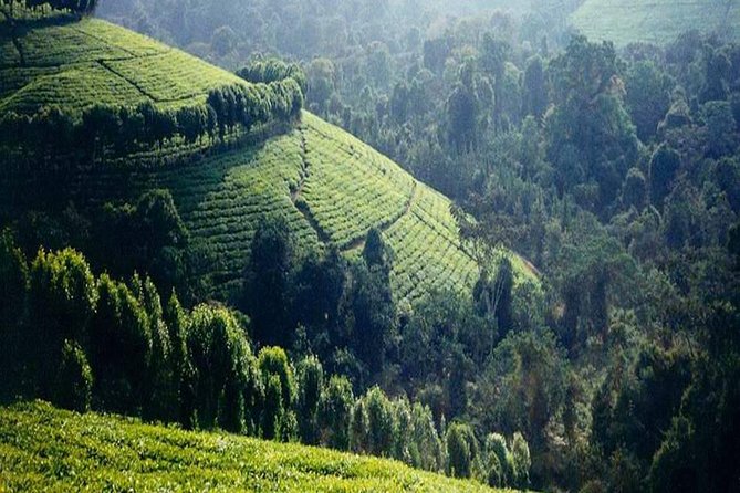 Bujumbura City Tour (Half Day) - Meeting Point Details