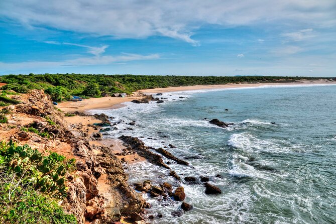 Bundala National Park Safari From Galle - Safety and Accessibility