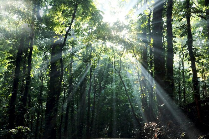 Butterfly Trail (11 Days) - Transportation Options