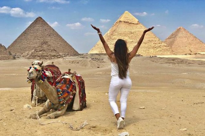 Cairo Layover Tour to Giza Pyramids, Sphinx, Egyptian Museum ,Citadel With Lunch - Not Included
