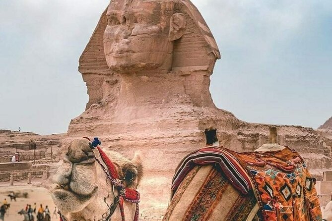 Cairo Layover Tour to Pyramids & Museum - What To Expect