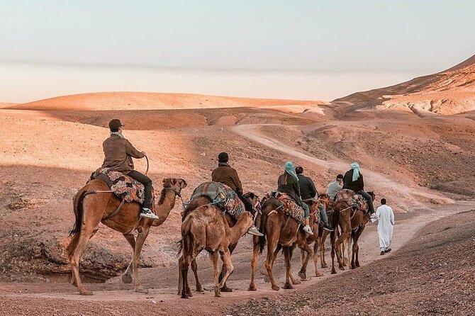 Camel Ride in Agafay Desert From Marrakech - Operator Details and Group Size