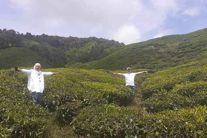 Cameron Highlands Tour From Kuala Lumpur (Special Deal) - Tour Highlights