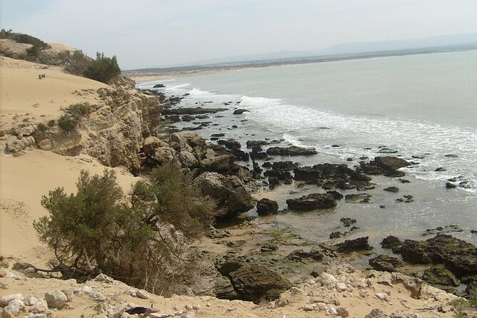 Cap Sim & Sidi Kaouki Hike - Exploring Essaouira Before and After