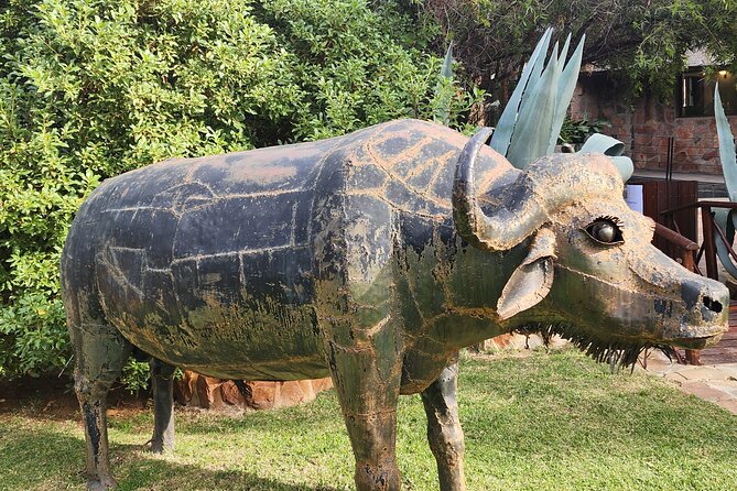 Cape Town Aquila Big Five Safari With Park Fees Transport, Lunch - Pricing Information