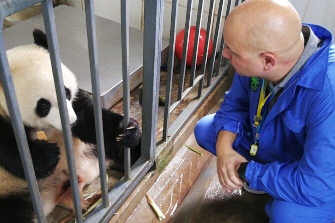 Chengdu Getaway: Private 2-Day Tour From Beijing - Itinerary Highlights