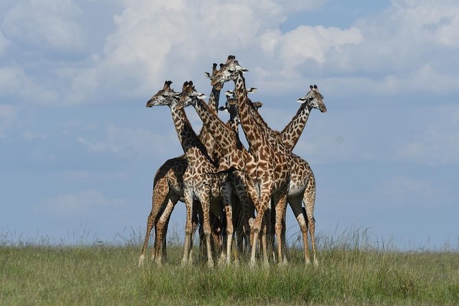 Classic Kenya Explore Safari 2022 - Important Guidelines