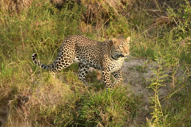 Classic Rhapsody Masai Mara Safari - Booking Confirmation