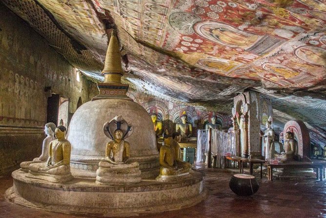Dambulla Cave and Polonnaruwa All Inclusive Day Tour From Colombo - Inclusions and Amenities