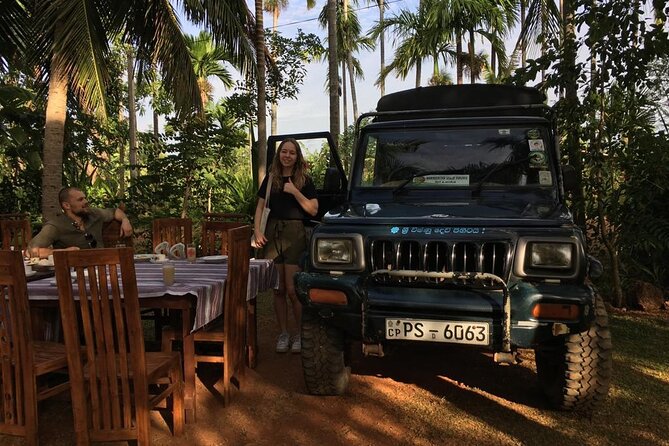 Day Tour From Colombo to Minneriya National Park Jeep Safari - Tour Itinerary