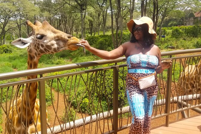 Day Tour: Museum, Nairobi City Drive, Giraffe Center, Bomas - Tour Itinerary