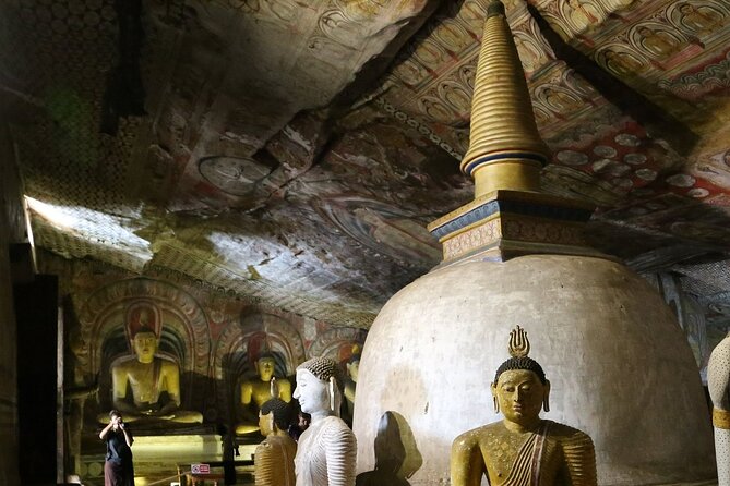 Day Tour to Dambulla And Polonnaruwa Ancient City From Colombo - Transportation Options
