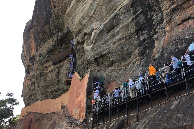 Day Tour to Dambulla & Sigiriya From Colombo Group (4- 15 People) - Price Details