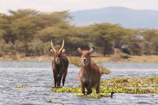 Day Trip Lake Nakuru From Nairobi - Hotel Pickup and Drop-Off