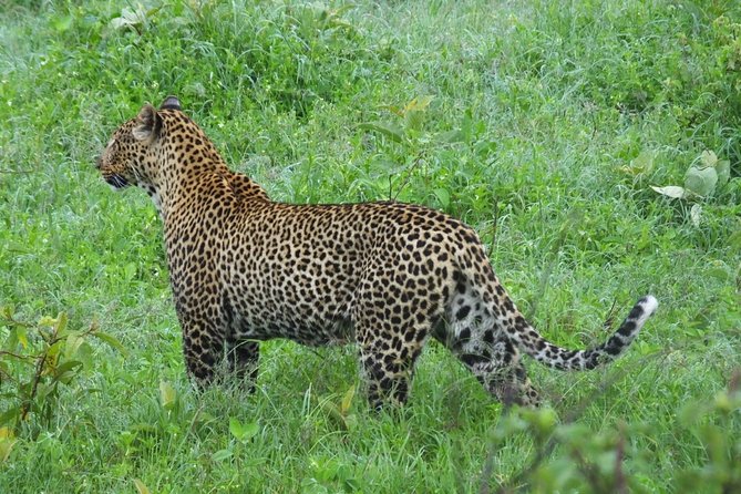 Day Trip Lake Nakuru National Park