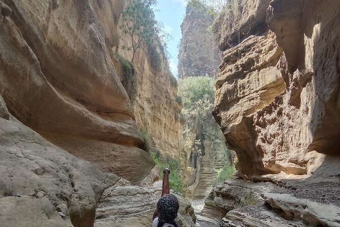 Day Trip Nairobi to Hells Gate National Park and Lake Naivasha - Pricing and Reservations