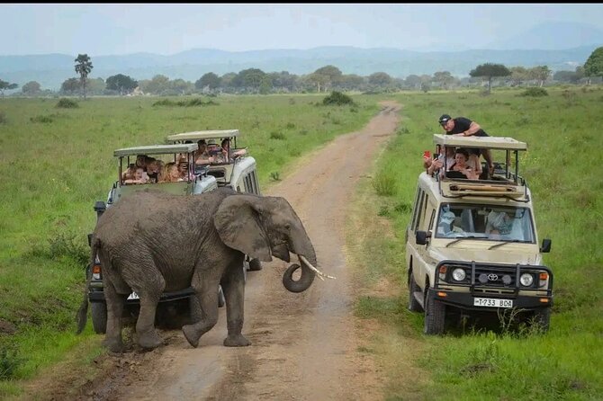 Day Trip Safari to Selous Game Reserve - Inclusions