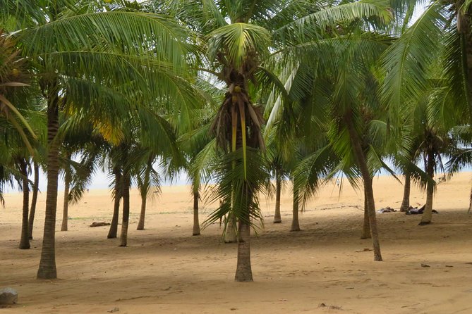 Discover Lome, TOGO - Frequently Asked Questions