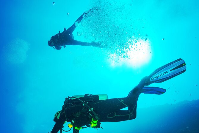 Diving Trip In Sharks Bay - Logistics Information