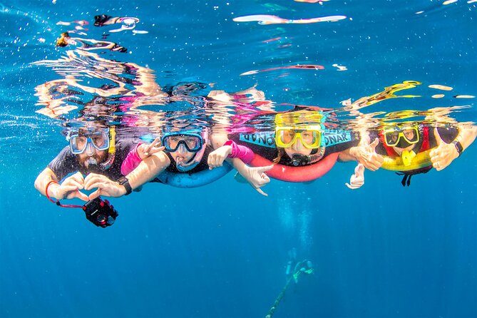 Dolphin House Samadai Reef Boat Snorkeling Trip From Marsa Alam