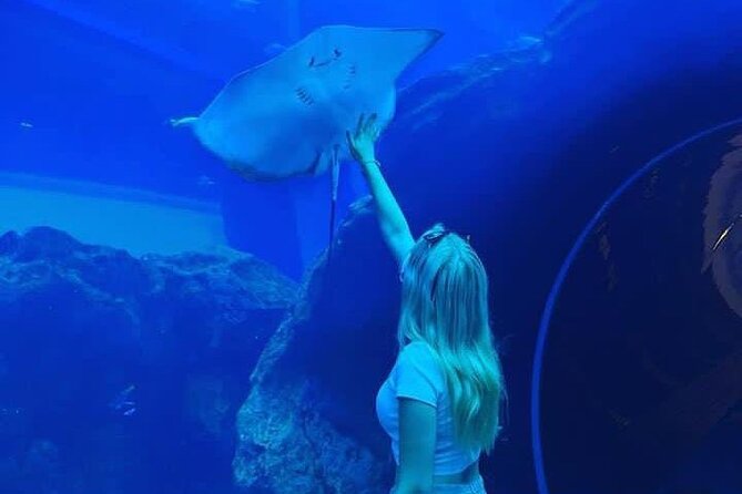 Dubai Aquarium and Underwater Zoo Tickets - Location and Hours