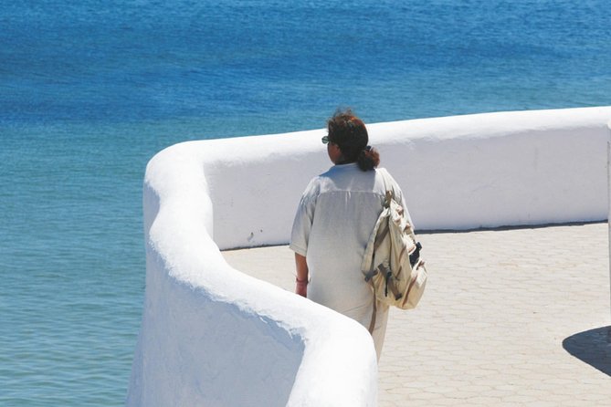 East Algarve Coastal Tour - Private Half-Day Tour - Inclusions and Costs