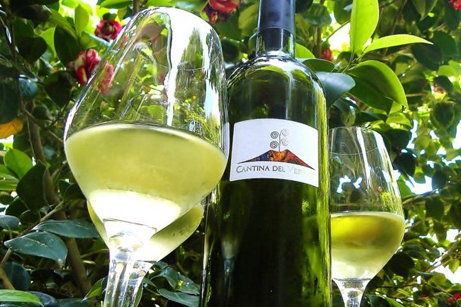 Ercolano and Cantine Del Vesuvio - Wine Tasting at Cantine Del Vesuvio