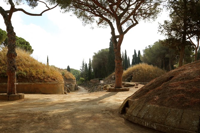 Etruscan Highlights From Civitavecchia Port - Etruscan Art and Architecture