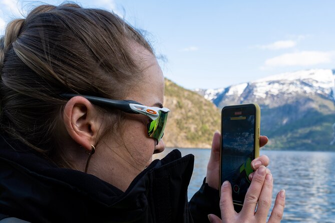 Exclusive & Private Hardangerfjord RIB Safari Tour From Ulvik - Booking Flexibility
