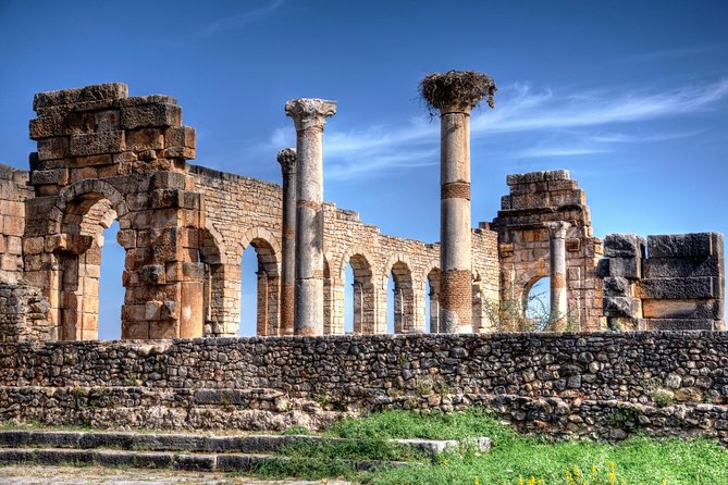 Excursions From Fez to Meknes Volubilis and Moulay Idriss - Inclusions and Exclusions