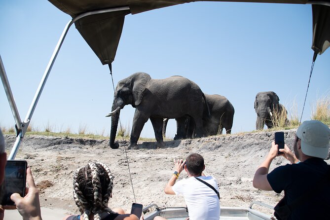 Experience Victoria Falls and Chobe National Park (4 Days Trip) - Day 2: Chobe National Park Safari
