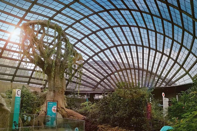 Explore Georgetown City Tour With Entopia Penang Butterfly Farm - Reservation and Cancellation Policy