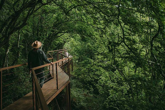 Extraordinary 11 Days Tour in Georgia