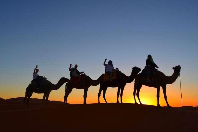 Fes Guided Desert Tour to Marrakech in 3 Days - Meals Provided