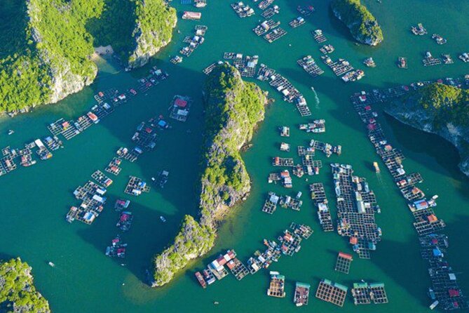 From Cat Ba Island: Full Day Boat Tour Lan Ha, Halong Bay: Kayak - Itinerary Highlights
