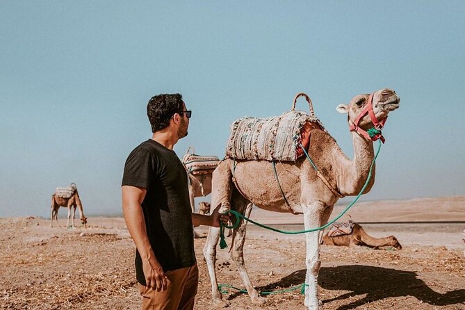 From Marrakech to Agafay Desert Quad Bike, Camel Ride, and Dinner - Price