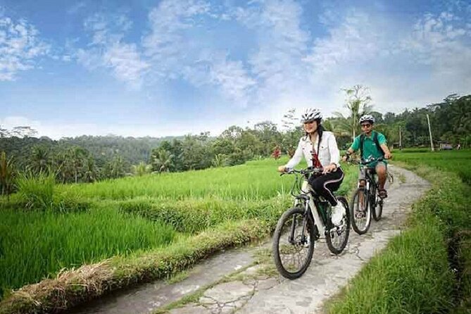 From Ubud Electric Bike Bali Countryside Ubud Tegalalang - The Sum Up