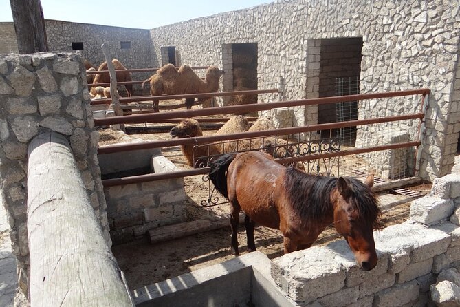 Full Day Archaeological and Ethnographical Private Tour in Baku - Booking and Flexibility