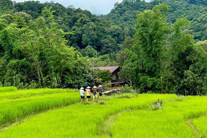 Full-Day Doi Inthanon National Park Tour With Trek and Pagodas - Cancellation and Booking Policies