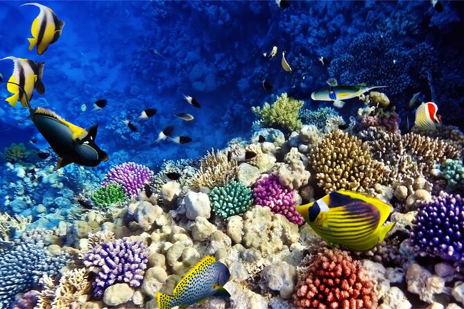 Full-Day Hurghada Boat Trip: Snorkeling and Lunch Included - Special Offer